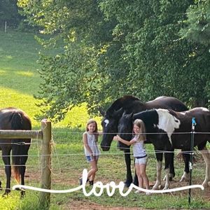 Meet your Posher, Angela